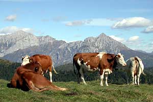 Vandra i Italien
